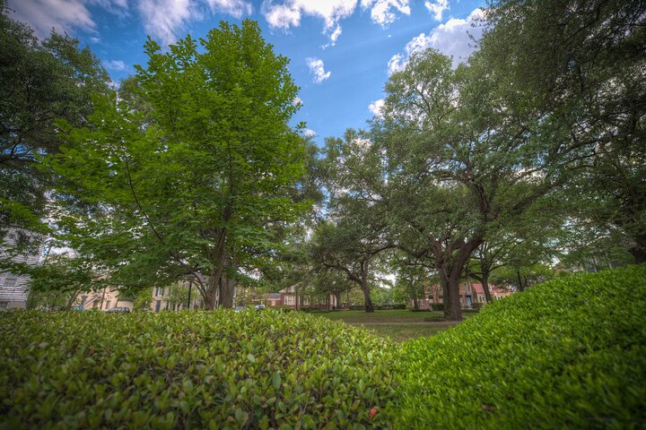 Battles & Brews Pub Crawl in Savannah - Photo 1 of 6